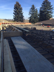 Roma Construction Ltd.